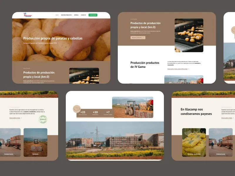 Web de Illacamp