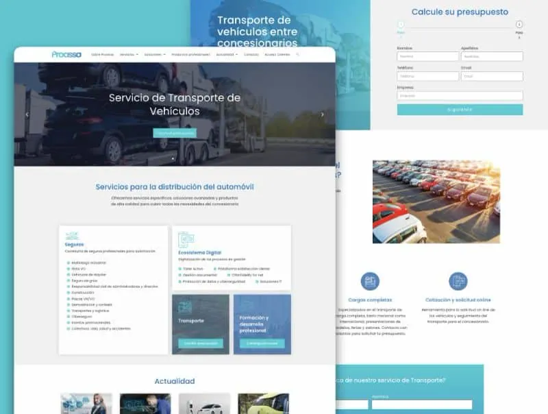 Web de Proassa