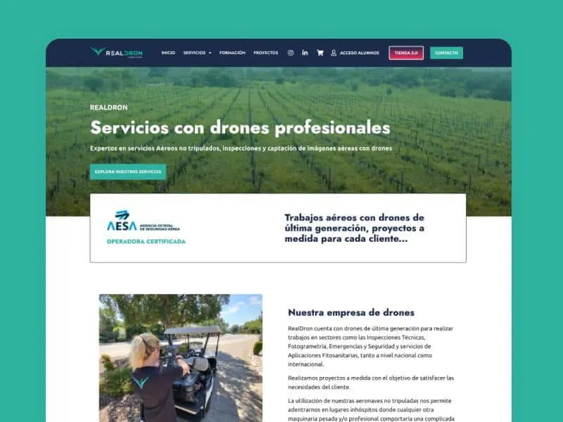 Web de Realdron