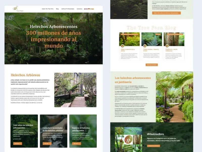 Web de The Tree Fern
